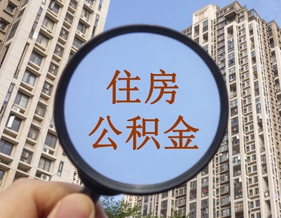 沂南退休后查不到公积金明细了吗（退休后公积金查询不到原因）